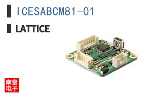ICESABCM81-01